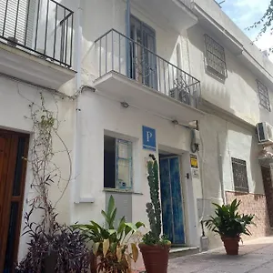 The Monkey 2*, Marbella Spain